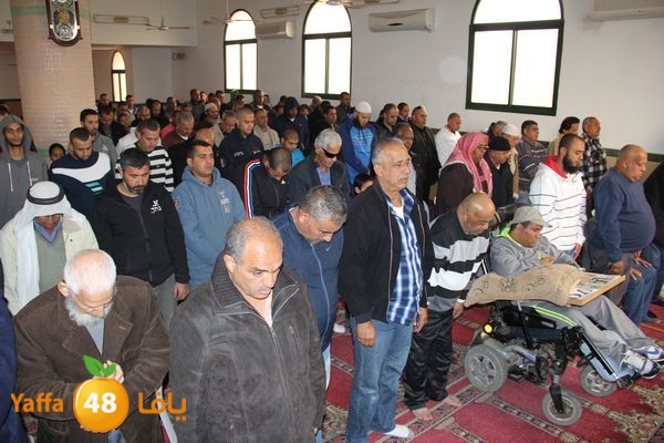 jarhoshuy msajed 0110 (21).JPG